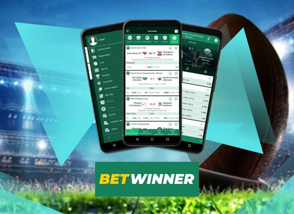 Discovering Bedwinner Your Ultimate Platform for Exciting Betting Experiences Discovering Bedwinner Your Ultimate Platform for Exciting Betting Experiences